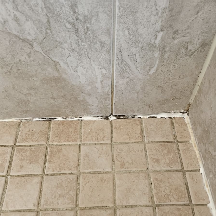 Before guest bath shower floor corner re-caulking in Vaughan.